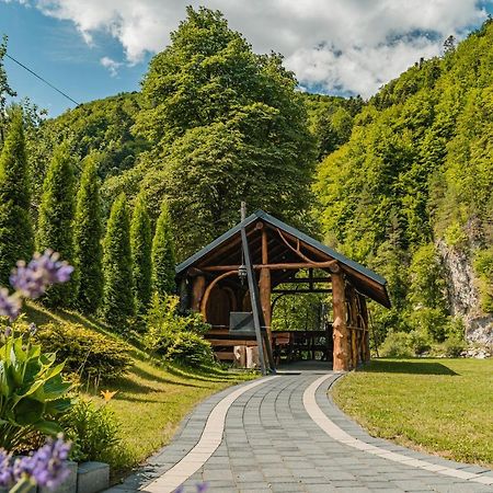 Apartamenty Magia Gór Szczawnica Bagian luar foto