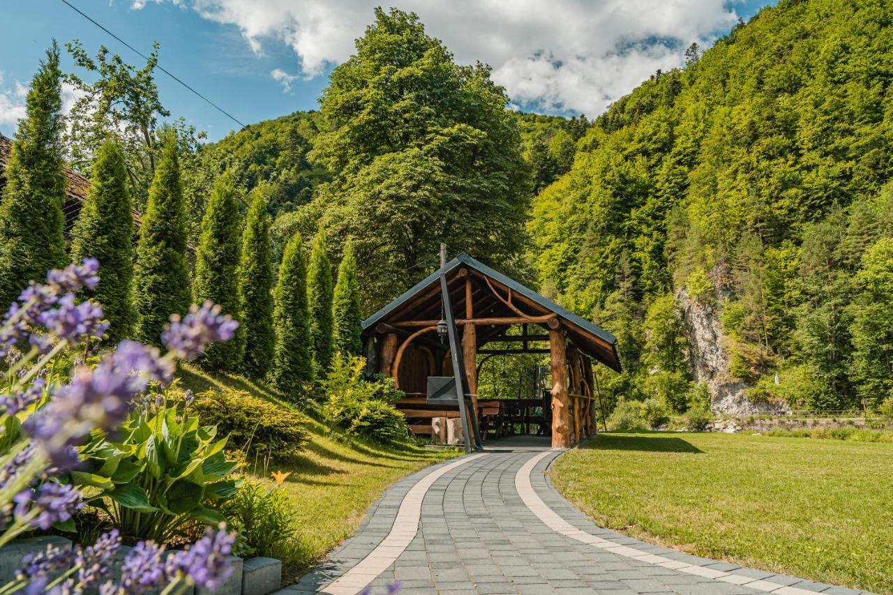 Apartamenty Magia Gór Szczawnica Bagian luar foto