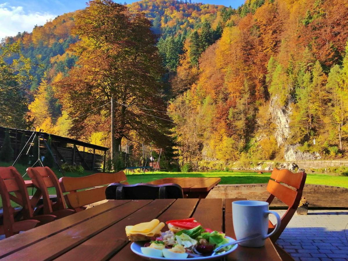 Apartamenty Magia Gór Szczawnica Bagian luar foto